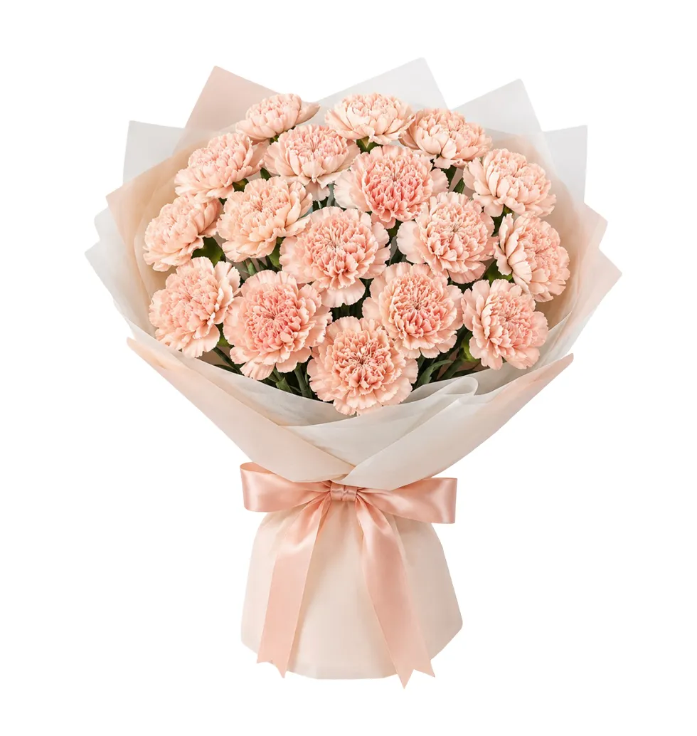 Elegant Carnation Collection