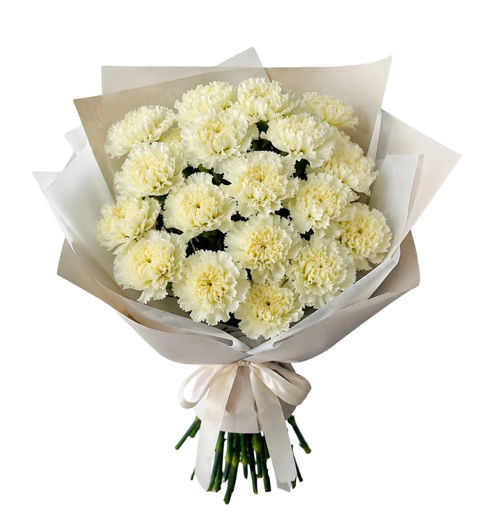 Elegant Coloured Blooms