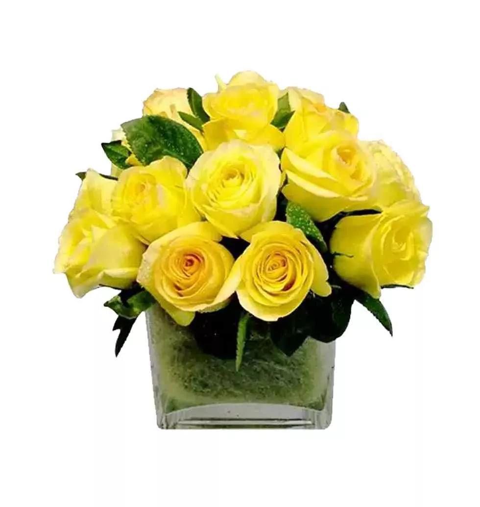 Blooming Modern Embrace 20 Roses Bouquet