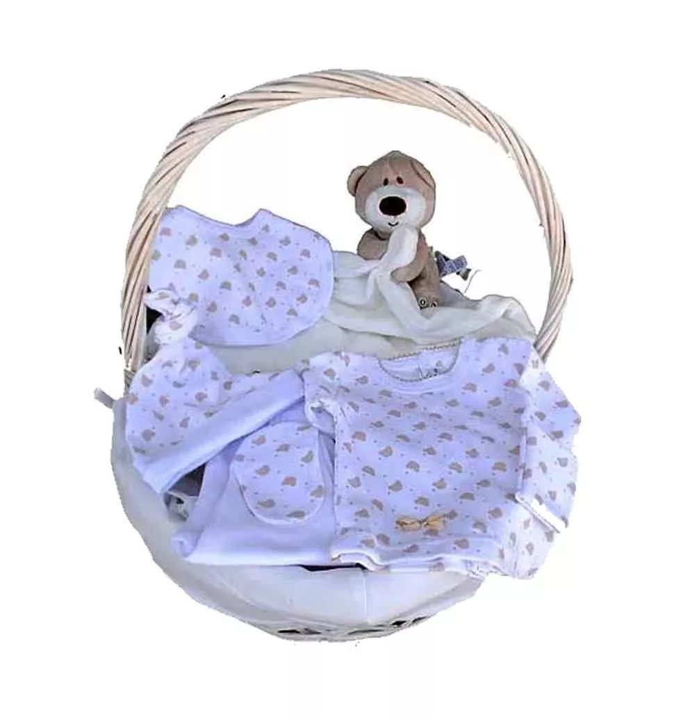 Bond of Affection Newborn Baby Care Gift Basket