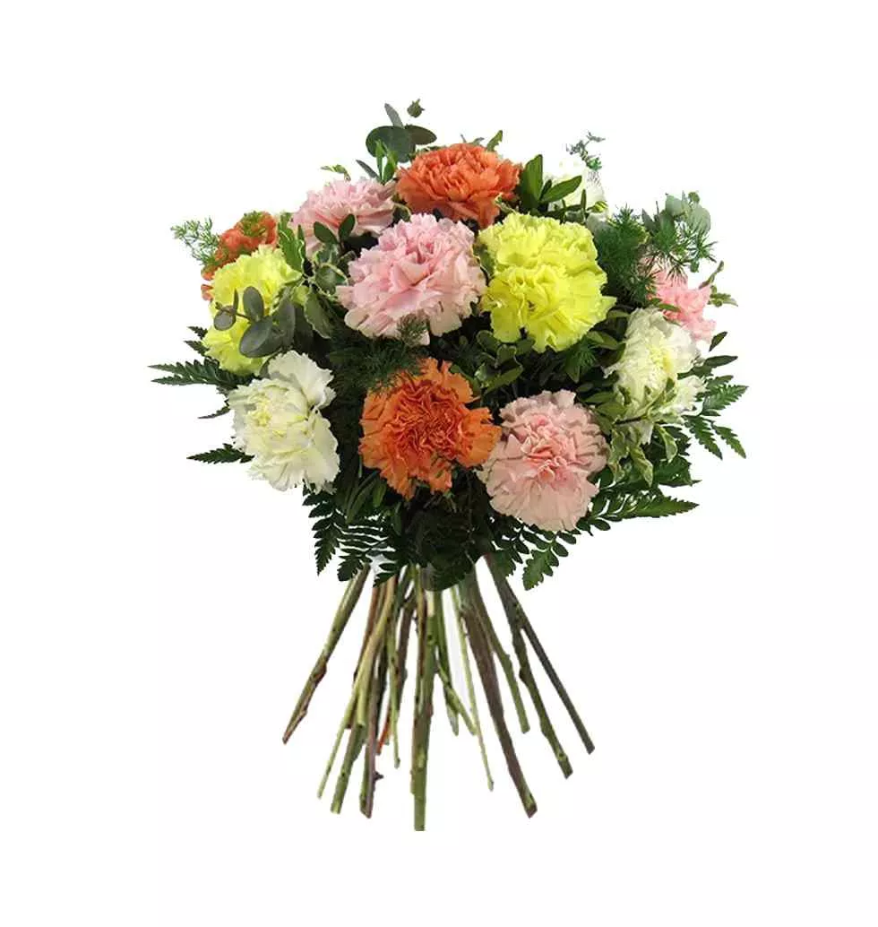 Diverse Carnation Bloom Bouquet Collection