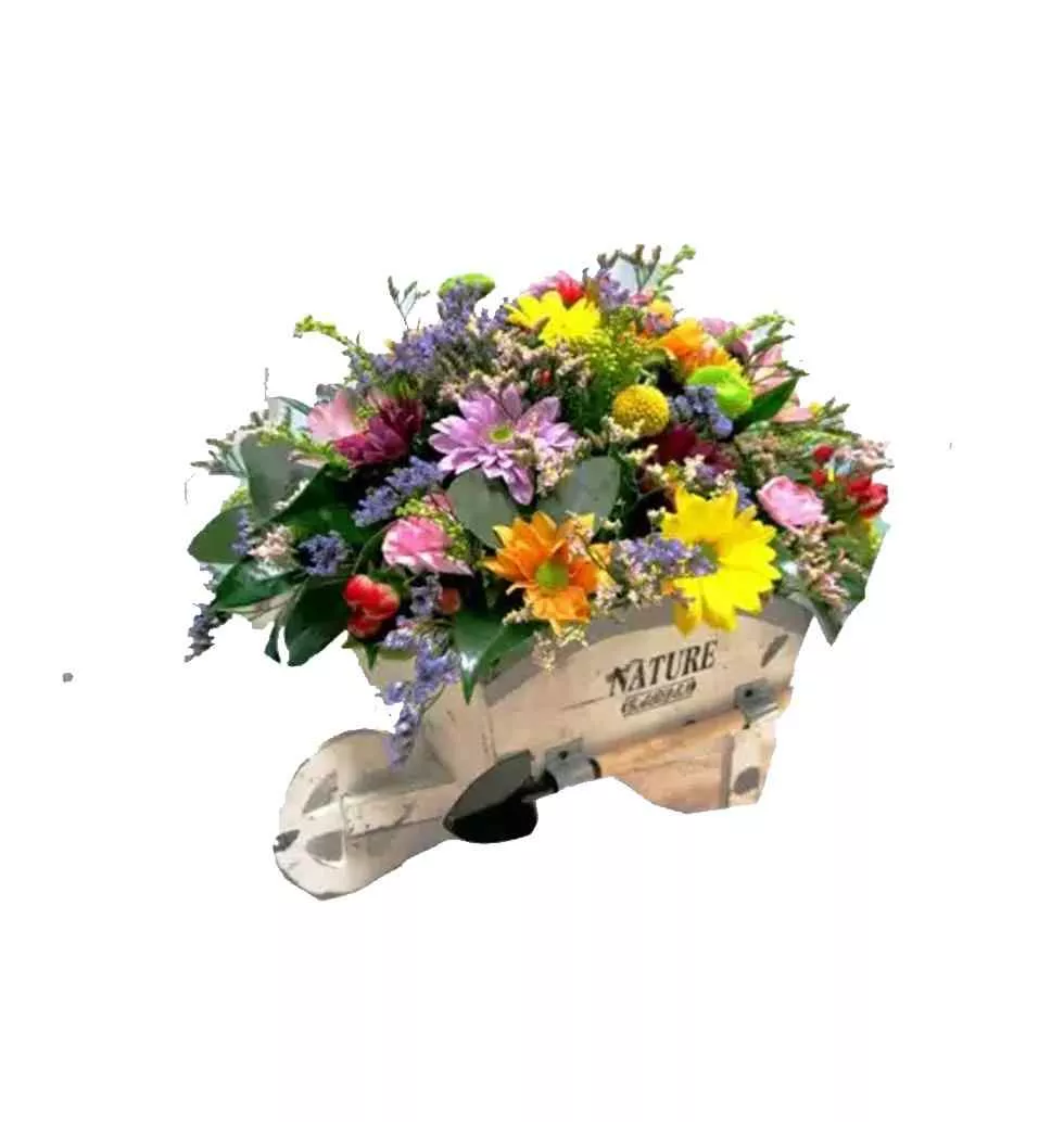Organic Flowers Wheelbarrow