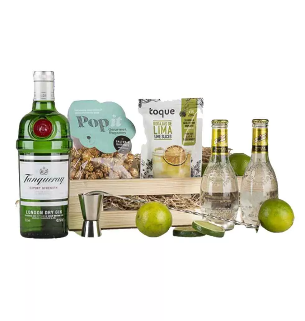 Premium Gin And Tonic Gift Set