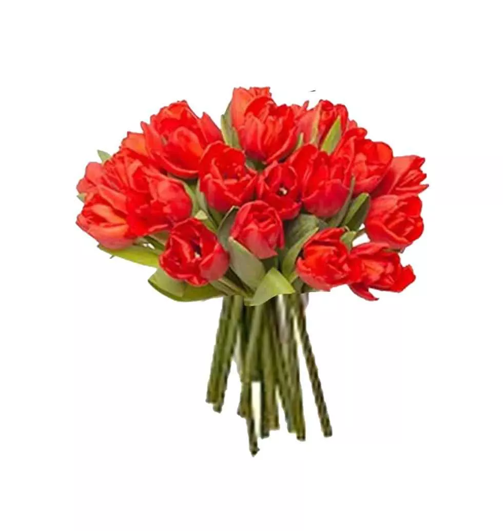 Timeless Red Tulip Bouquet