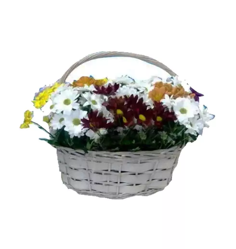 Various Colours In A Basket