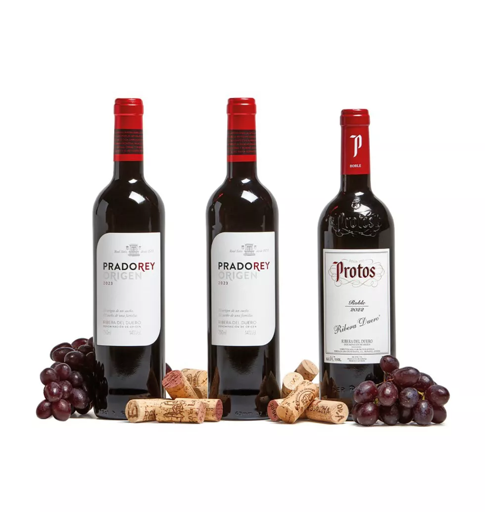 Spanish Red Wine Discovery Set