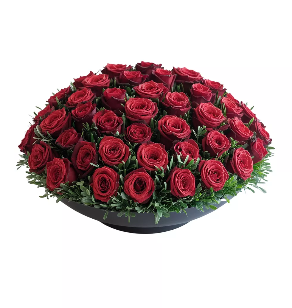 Romantic Red Rose Splendor