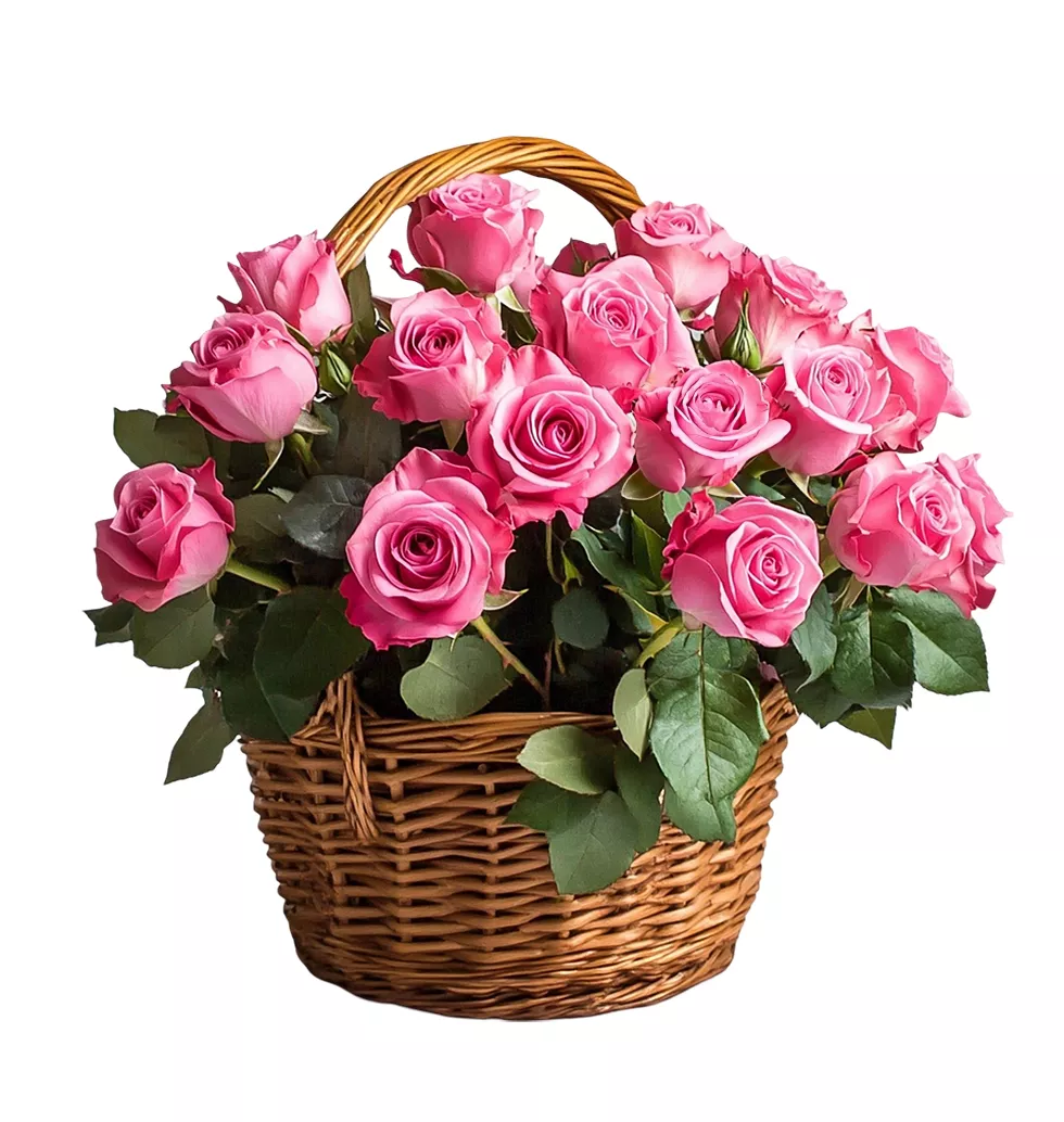 Elegant Pink Rose Gift