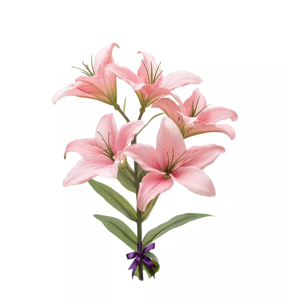 Vibrant Pink Asiatic Lilies