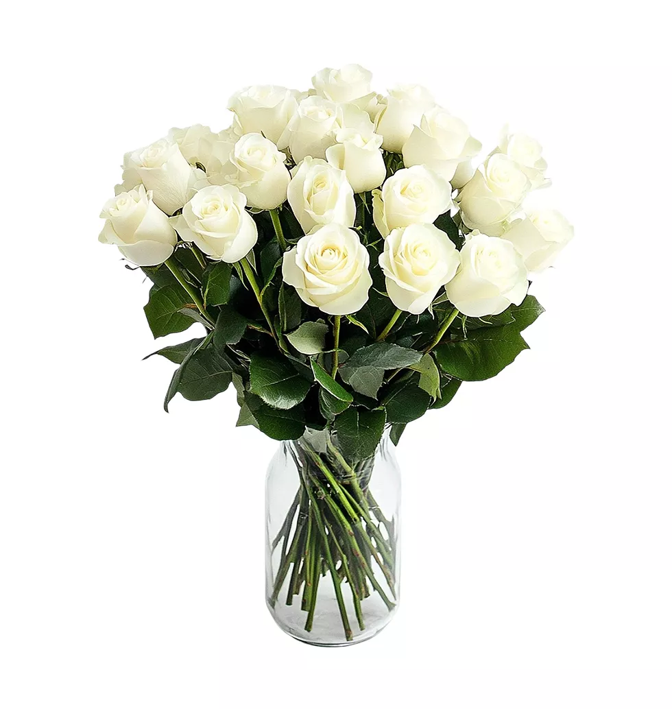 Pure Beauty: 24 White Roses