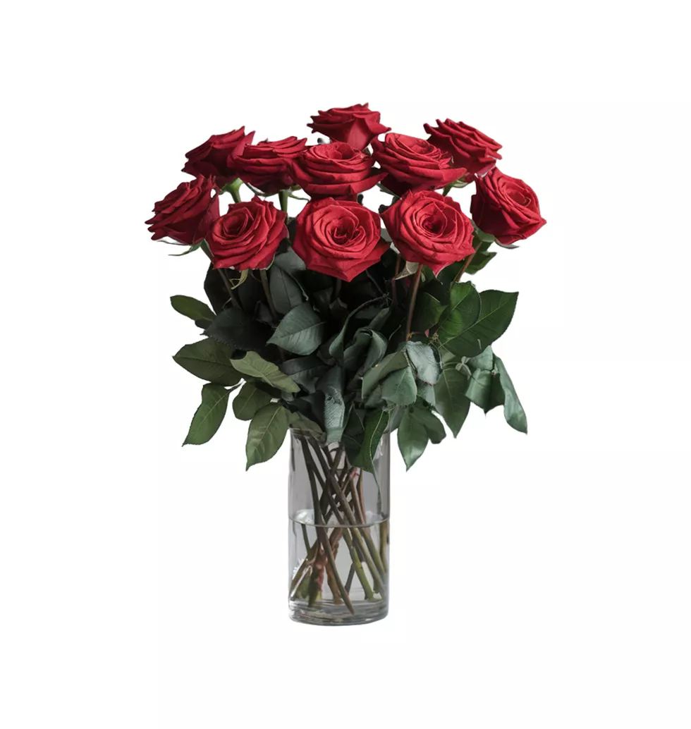 Stylish 10 Red Rose Bouquet